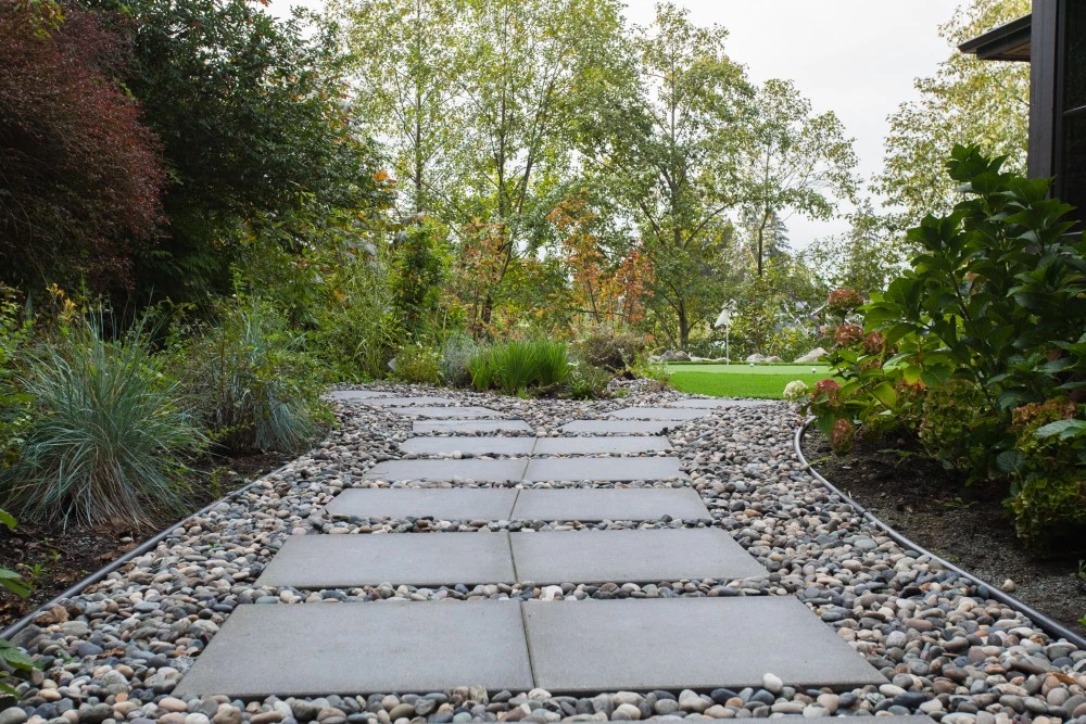 Pathway surrounded by plants