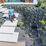 stone patio and pathway integrated with existing lawn garden beds and mature trees in landscaped yard