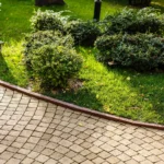 hardscaping and landscaping comparison in a Vancouver backyard with patio and plants