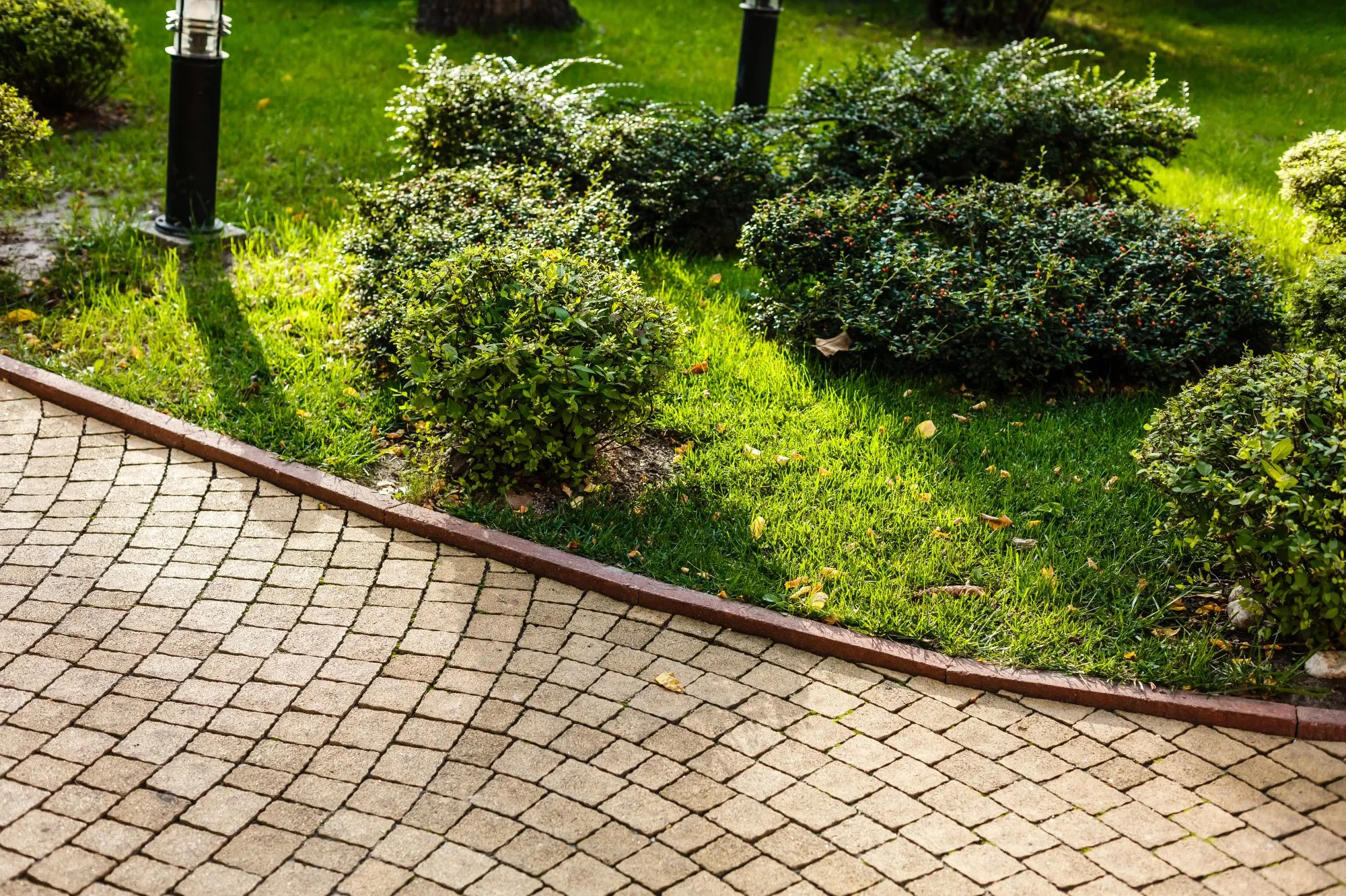 hardscaping and landscaping comparison in a Vancouver backyard with patio and plants