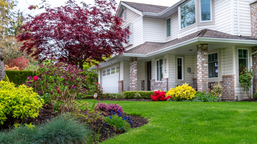 Manicured front yard of a Burnaby home with a green lawn, flowering garden beds, and a Japanese maple