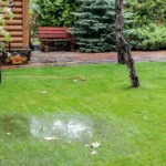Rain-ready backyard with durable hardscaping and moisture-tolerant planting in Vancouver
