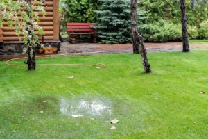 Rain-ready backyard with durable hardscaping and moisture-tolerant planting in Vancouver