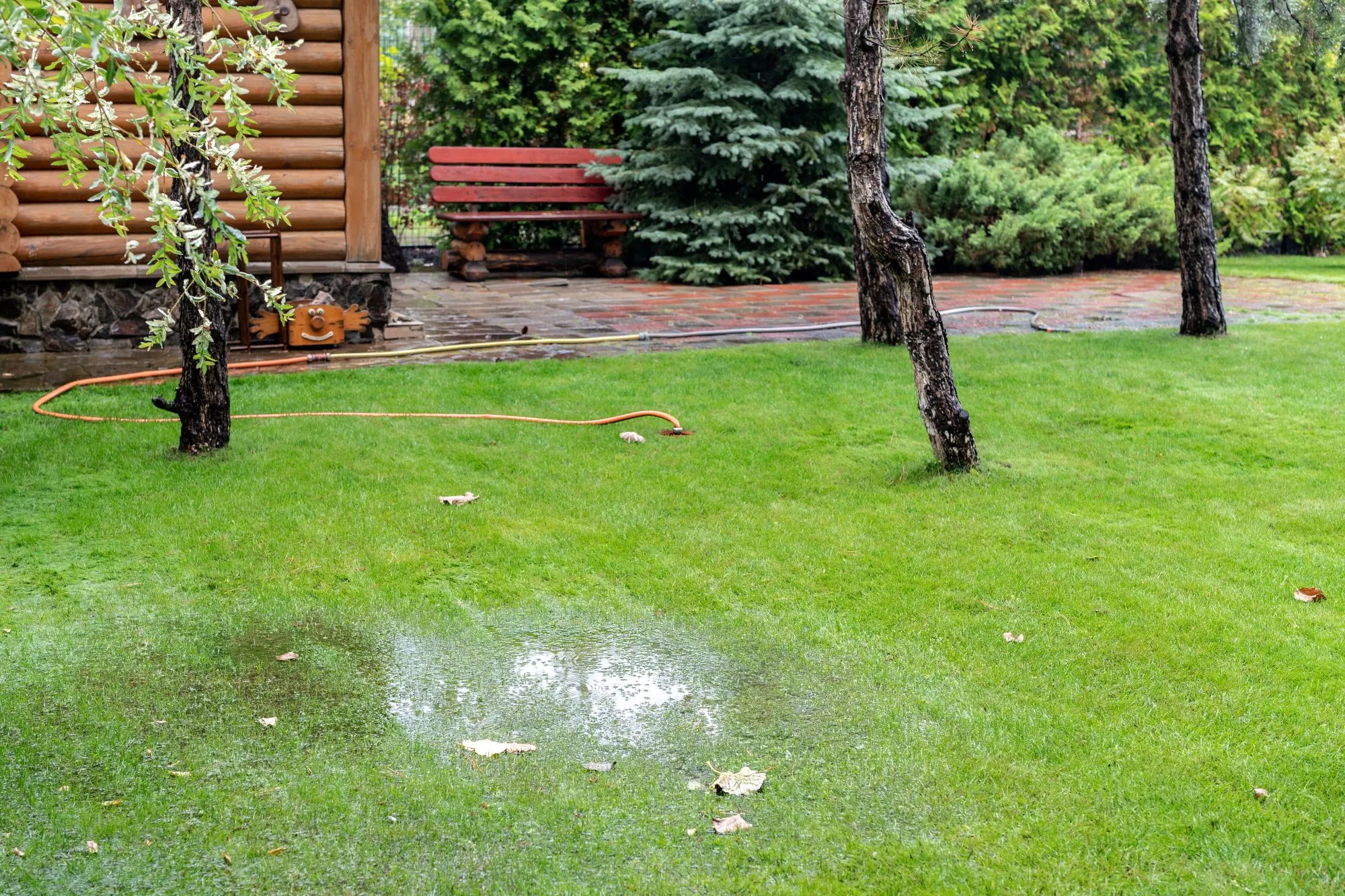 Rain-ready backyard with durable hardscaping and moisture-tolerant planting in Vancouver