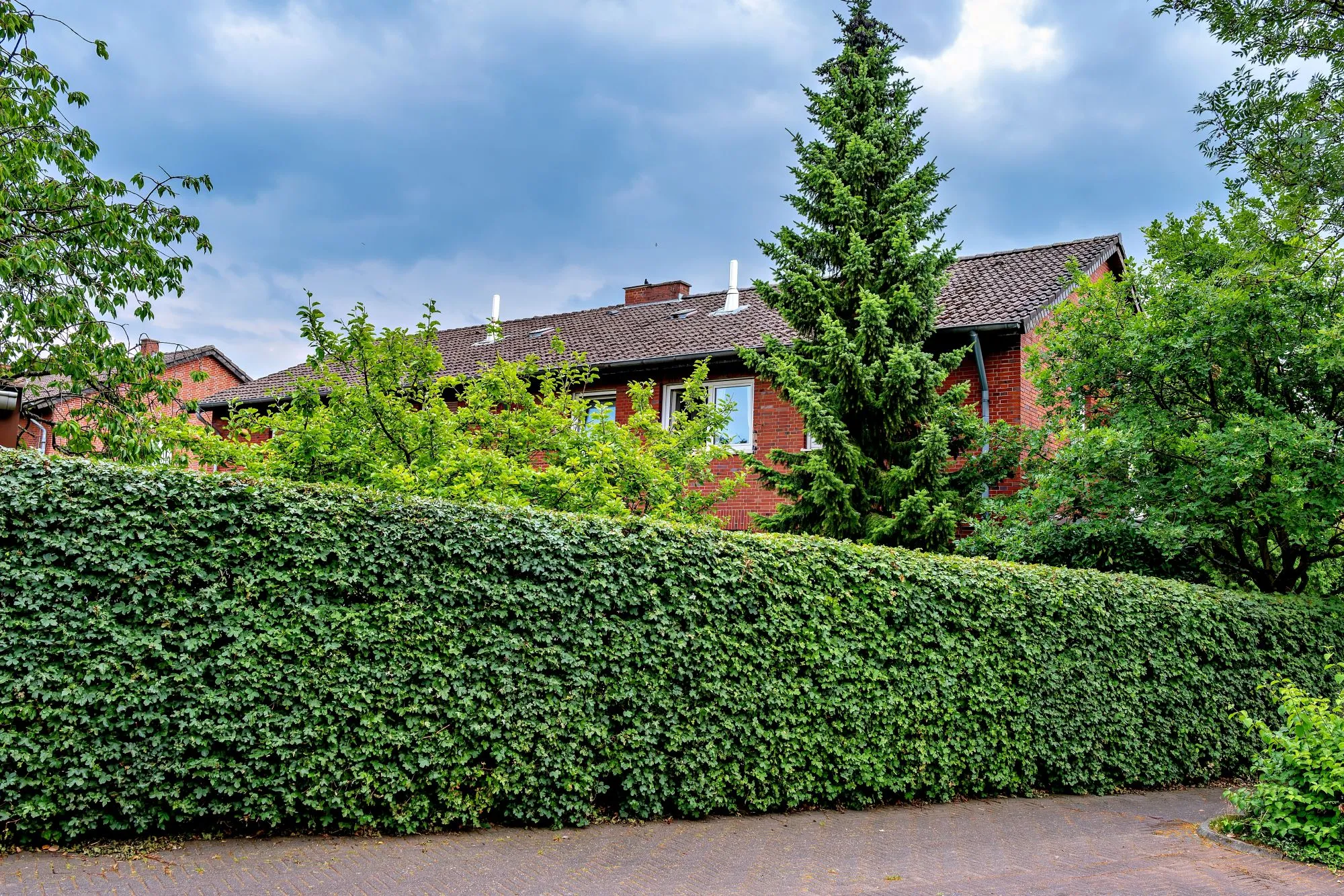 Privacy landscaping for a dense Vancouver backyard with planting, hardscaping, and outdoor living areas.
